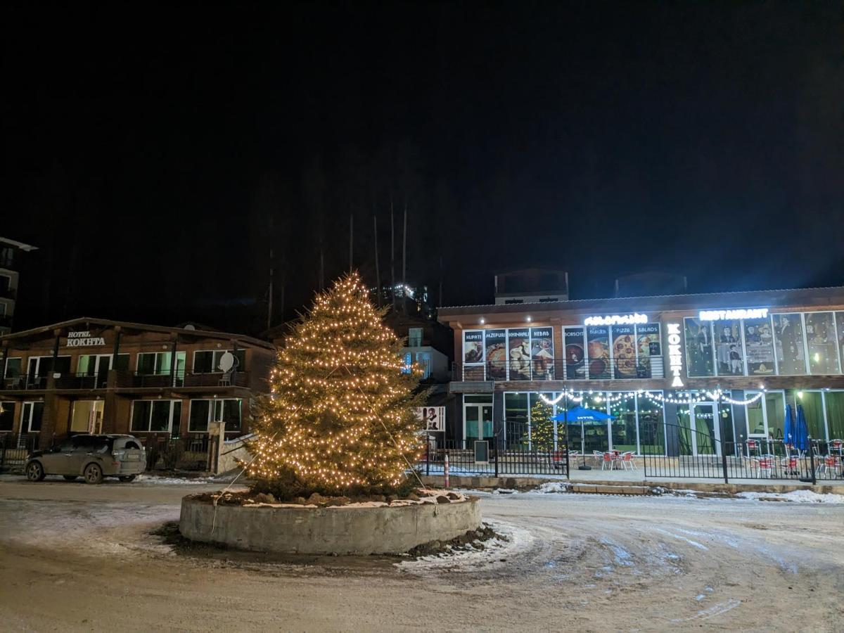 Chalet Kokhta Bakuriani Dış mekan fotoğraf