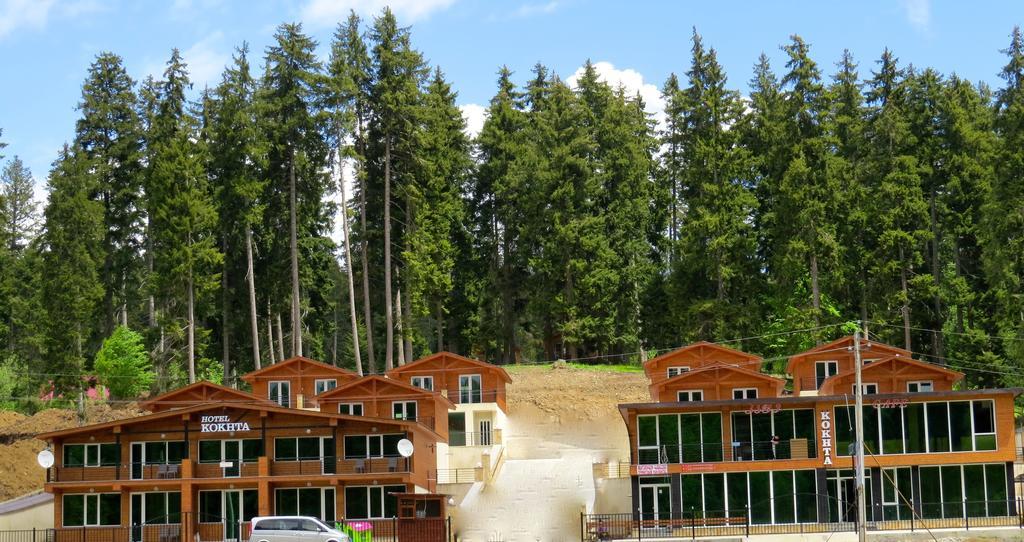 Chalet Kokhta Bakuriani Dış mekan fotoğraf