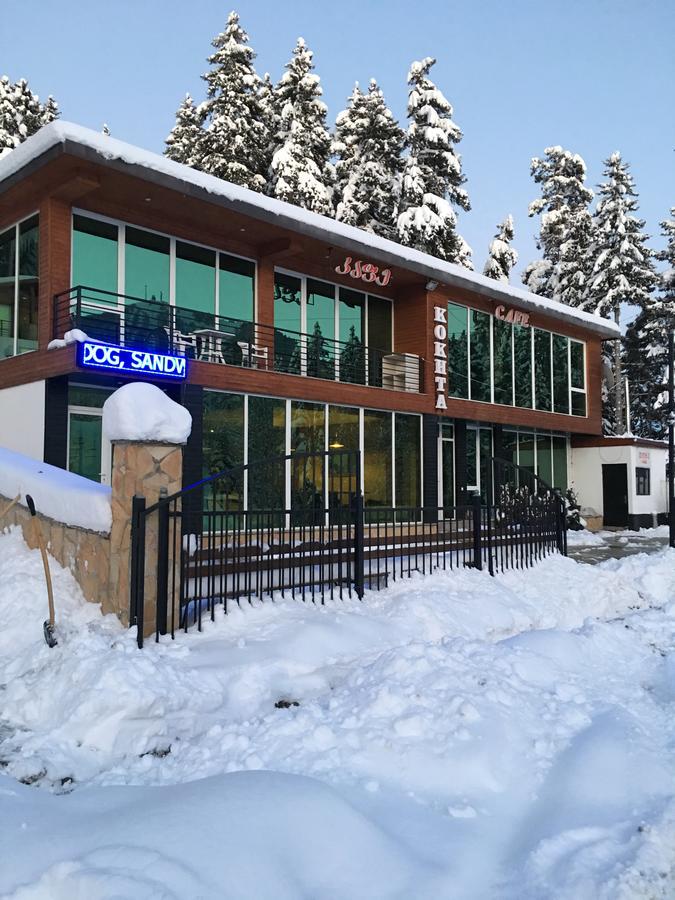 Chalet Kokhta Bakuriani Dış mekan fotoğraf